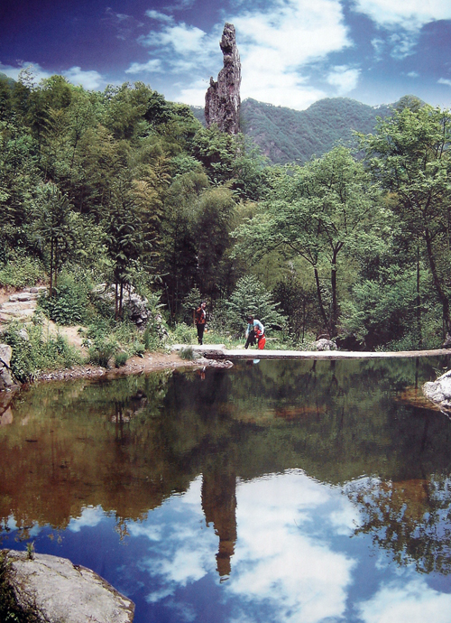 4a级景区】国家森林公园,国家级自然保护区,华东地区最后一片原始森林